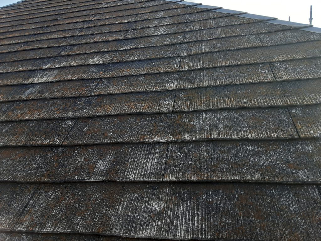 画像に alt 属性が指定されていません。ファイル名: 20210125_151233-1024x768.jpg