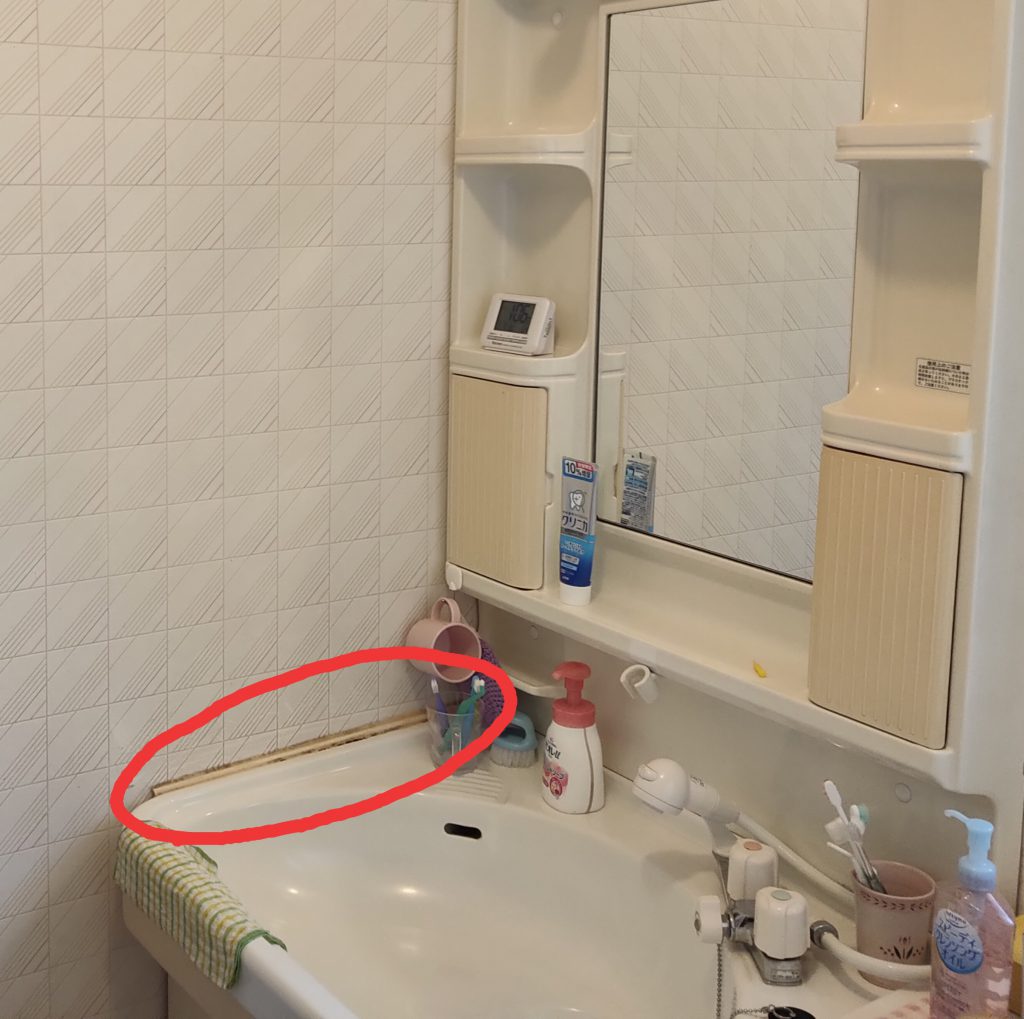 画像に alt 属性が指定されていません。ファイル名: IMG_20210613_093553-1024x1019.jpg