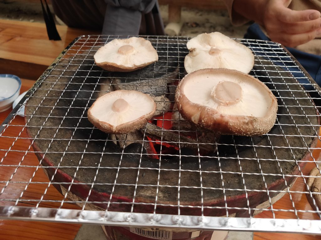 画像に alt 属性が指定されていません。ファイル名: IMG20211017114852-1024x768.jpg