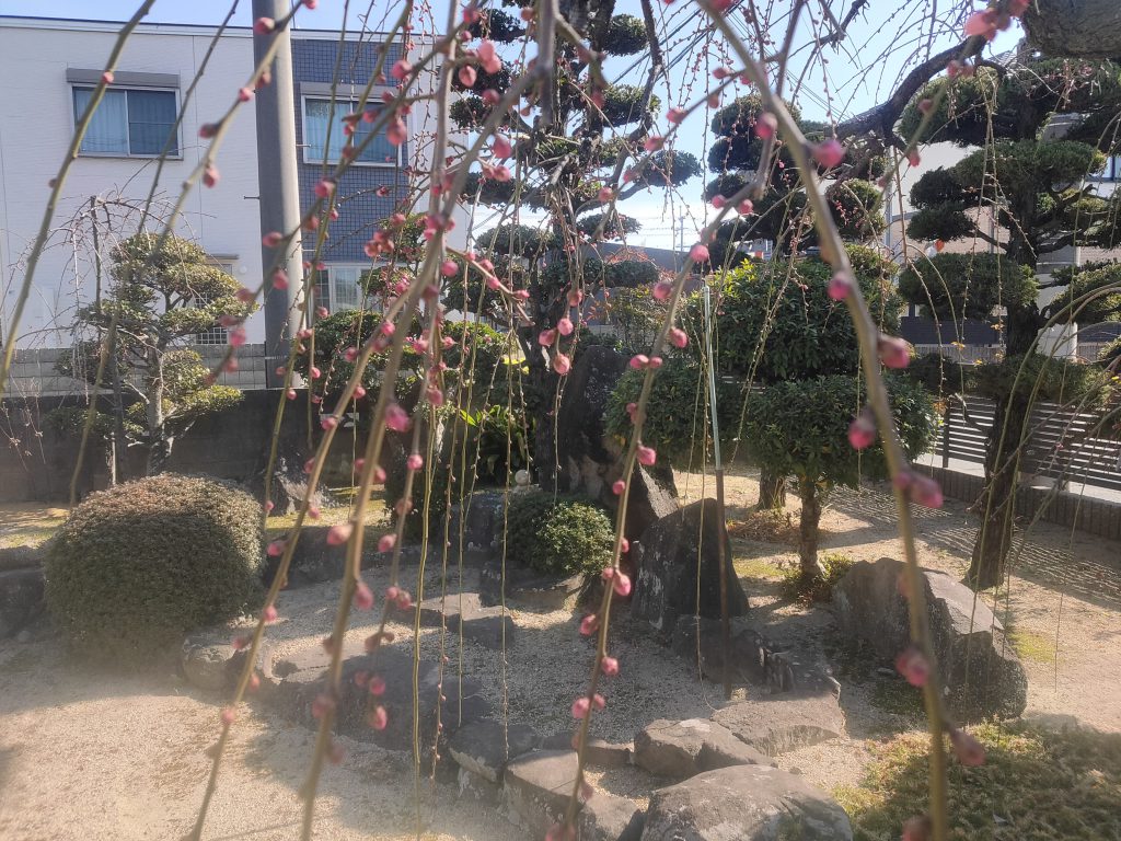 画像に alt 属性が指定されていません。ファイル名: IMG20220212130053_copy_3456x2592-1024x768.jpg