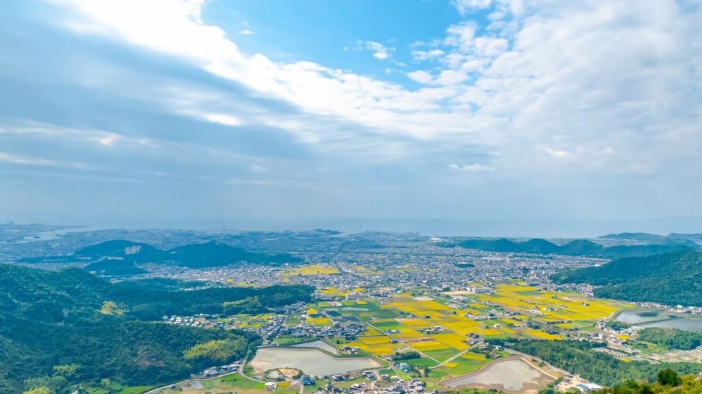 高御位山から望む高砂市の田園と住宅街の風景